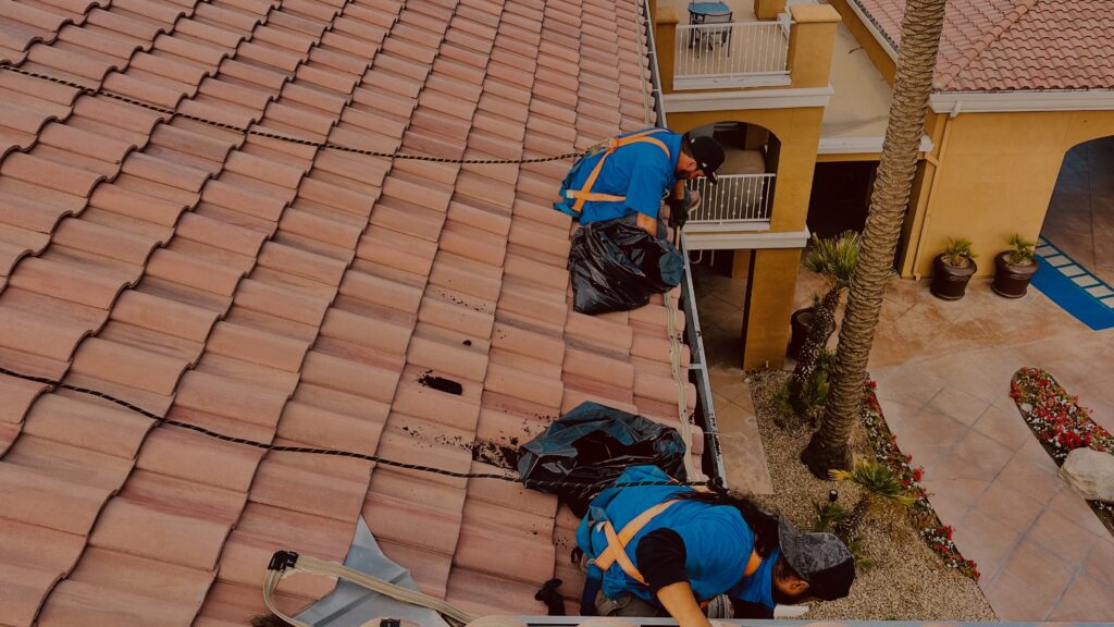 IMG_5637 gutter cleaning