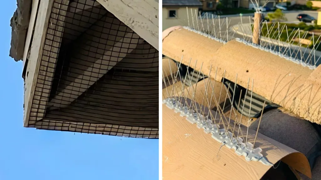 bird proofingbird spikes installation bird proofing bird spikes installation