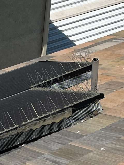 bird proofing