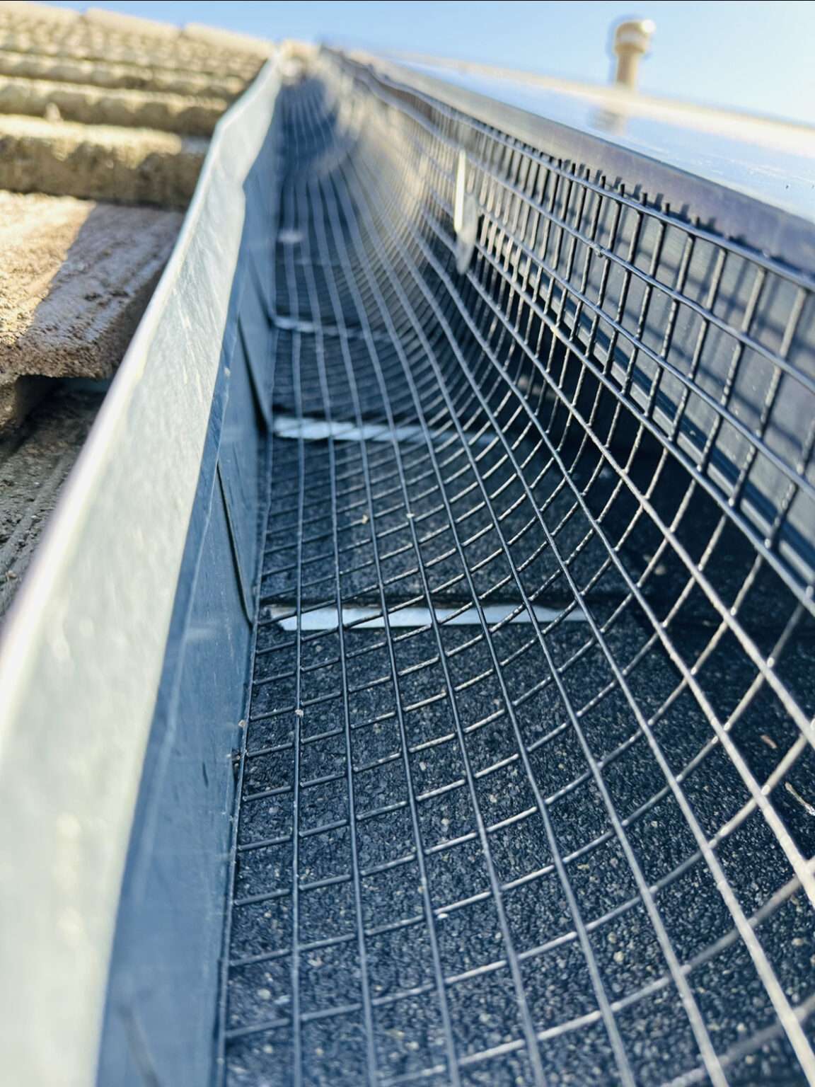 bird proofing