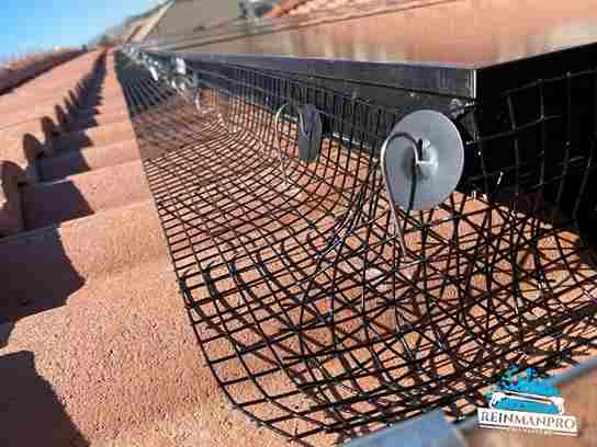 bird proofing