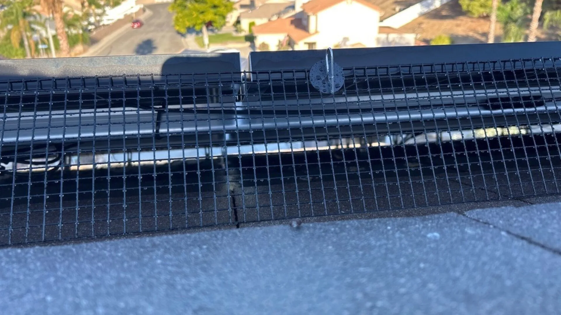 bird proofing gallery 1