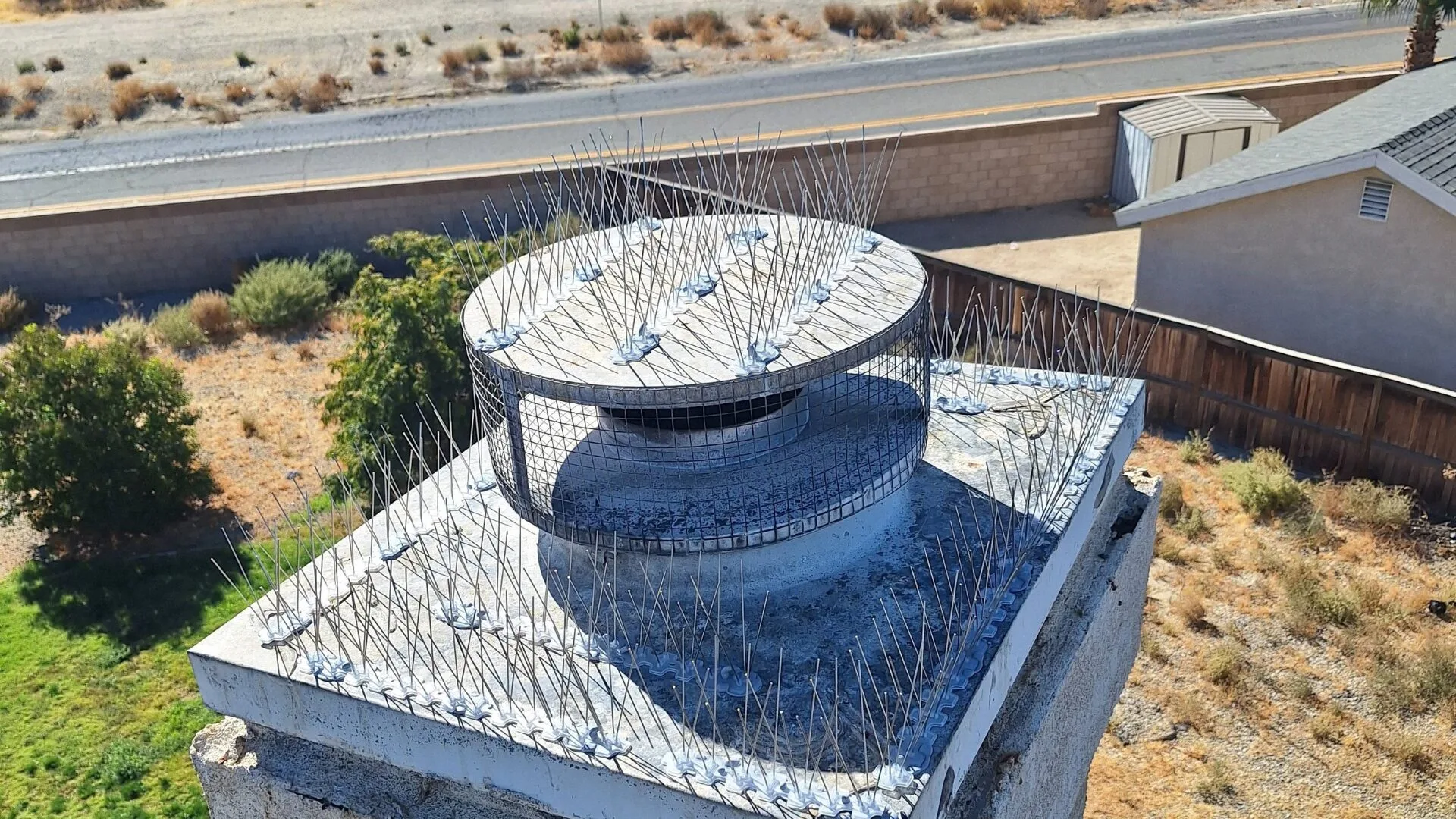 bird proofing gallery 2