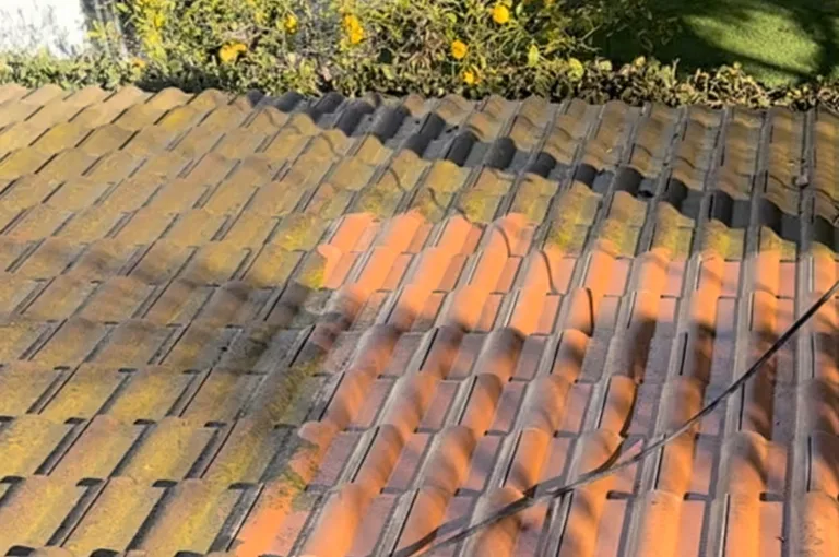 roof washing 7