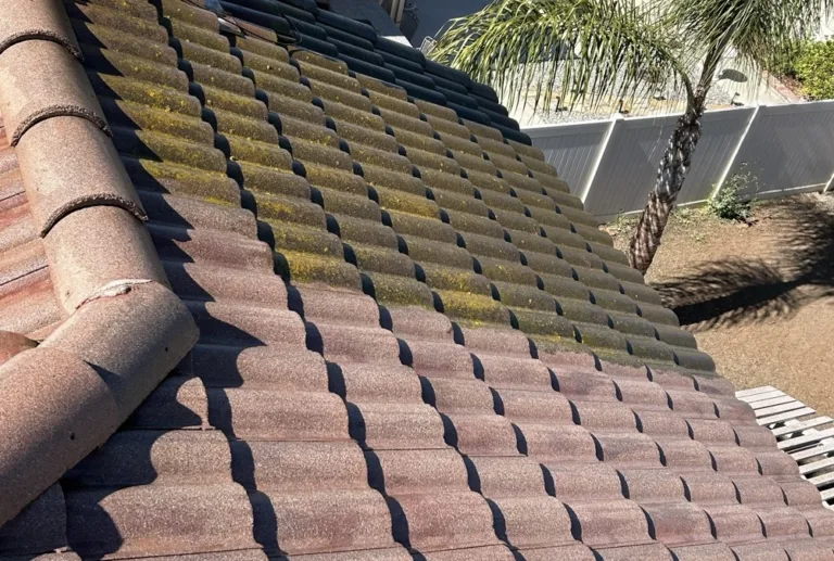 roof washing 8