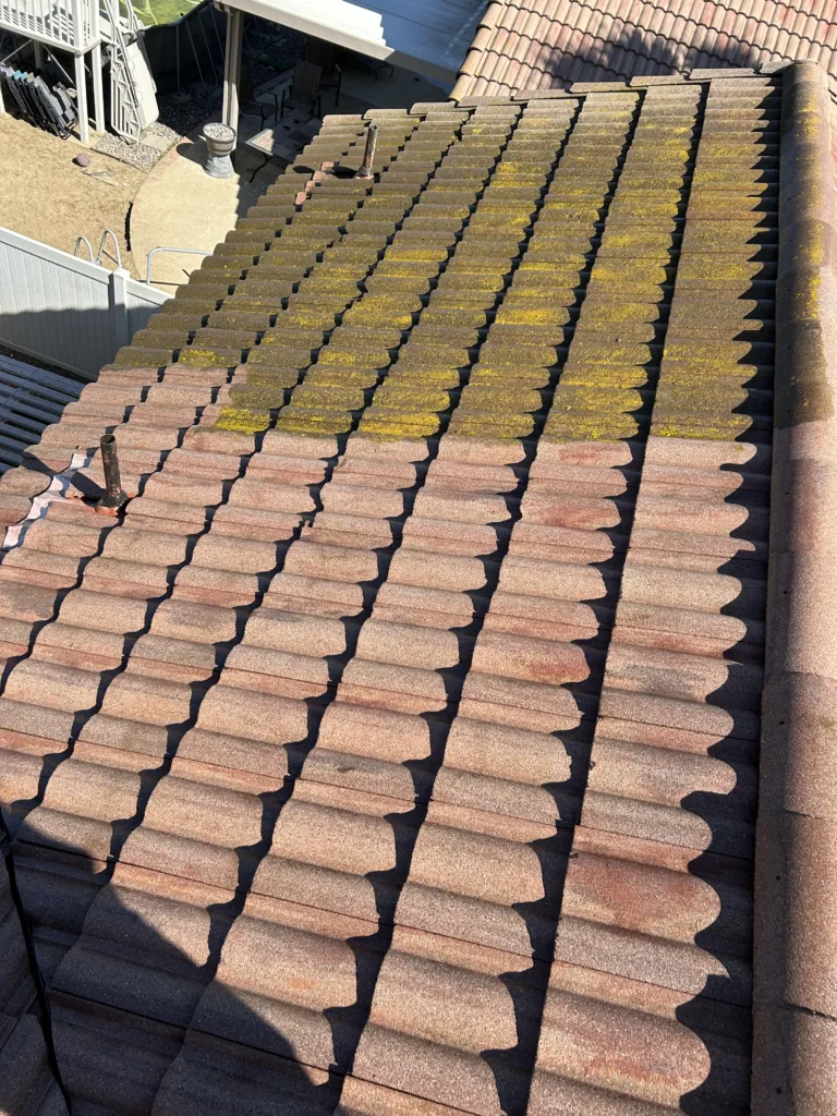 roof washing 9