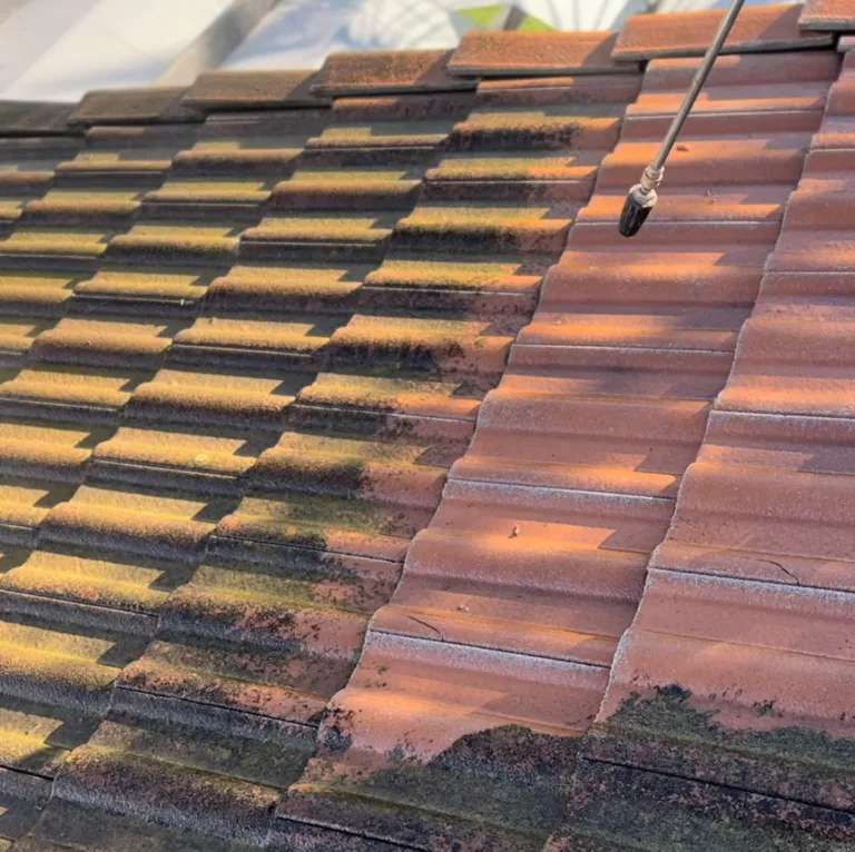 roof washing 10