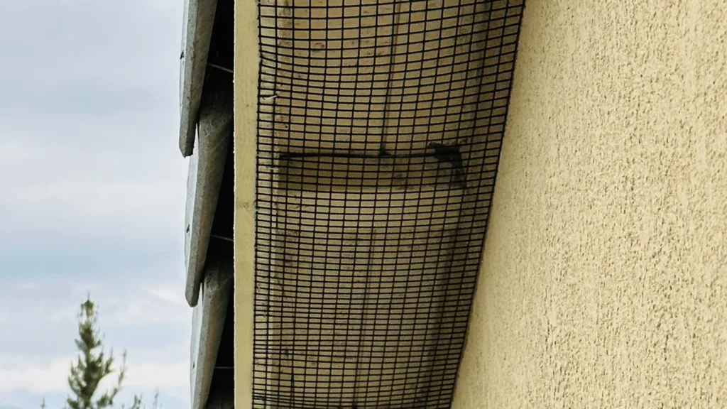 eaves proofing photo 14