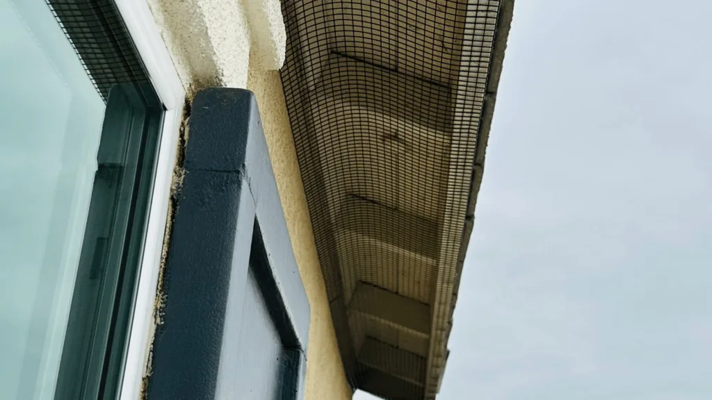 eaves proofing photo 19