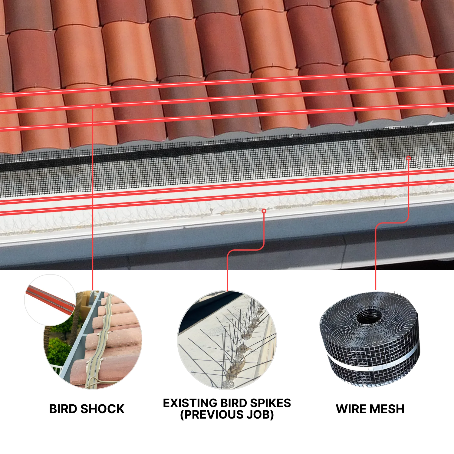 existing bird spikes prevoius job - REINMANPRO.COM