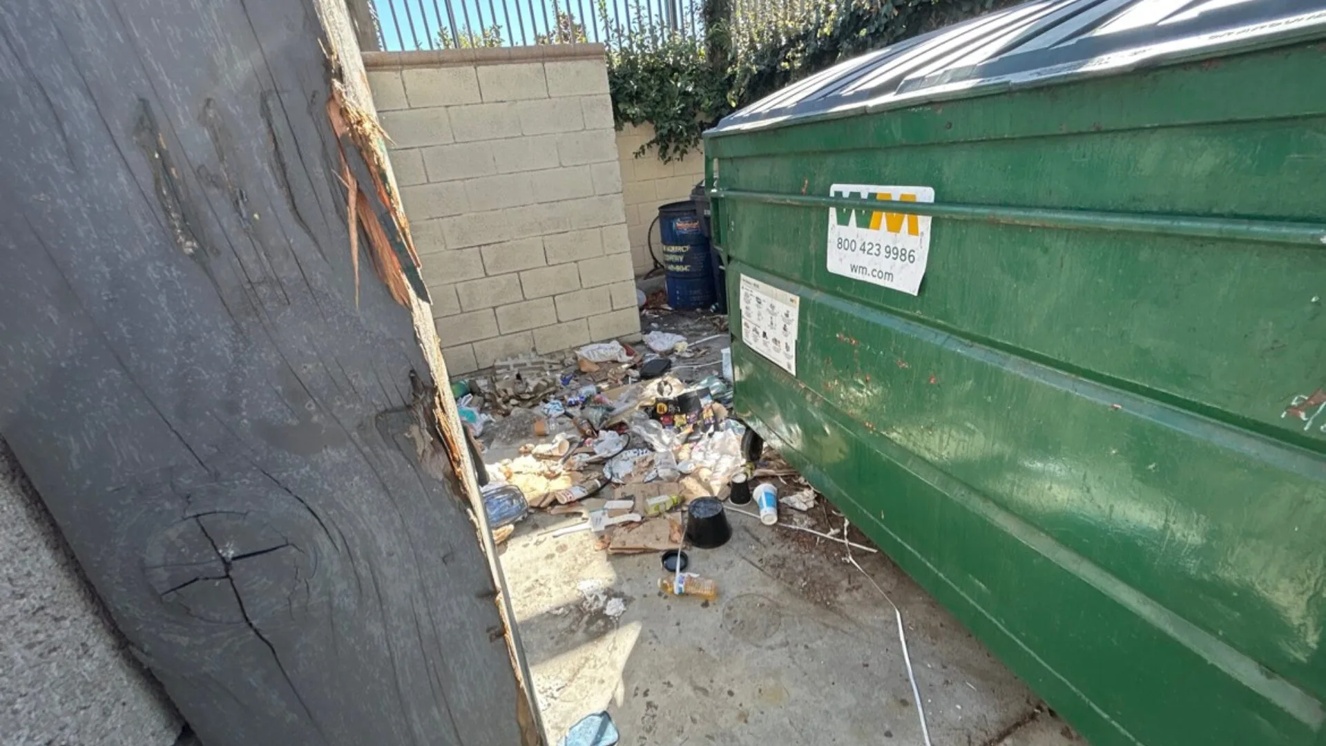 dumpsterpadcleaning3