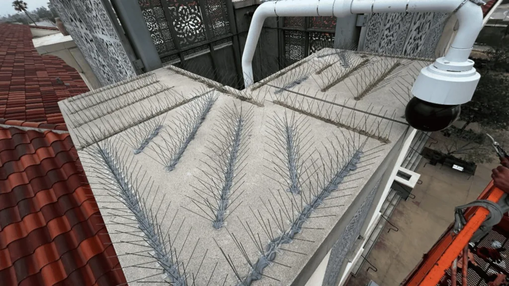 Rooftop edge with multiple rows of razor wire spikes for security, a curved white pipe, and red-tiled roof nearby in the background.