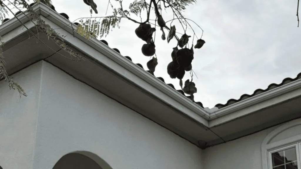 Corner of a light gray building with a curved arch doorway and a window, with vines hanging over the roof edge.