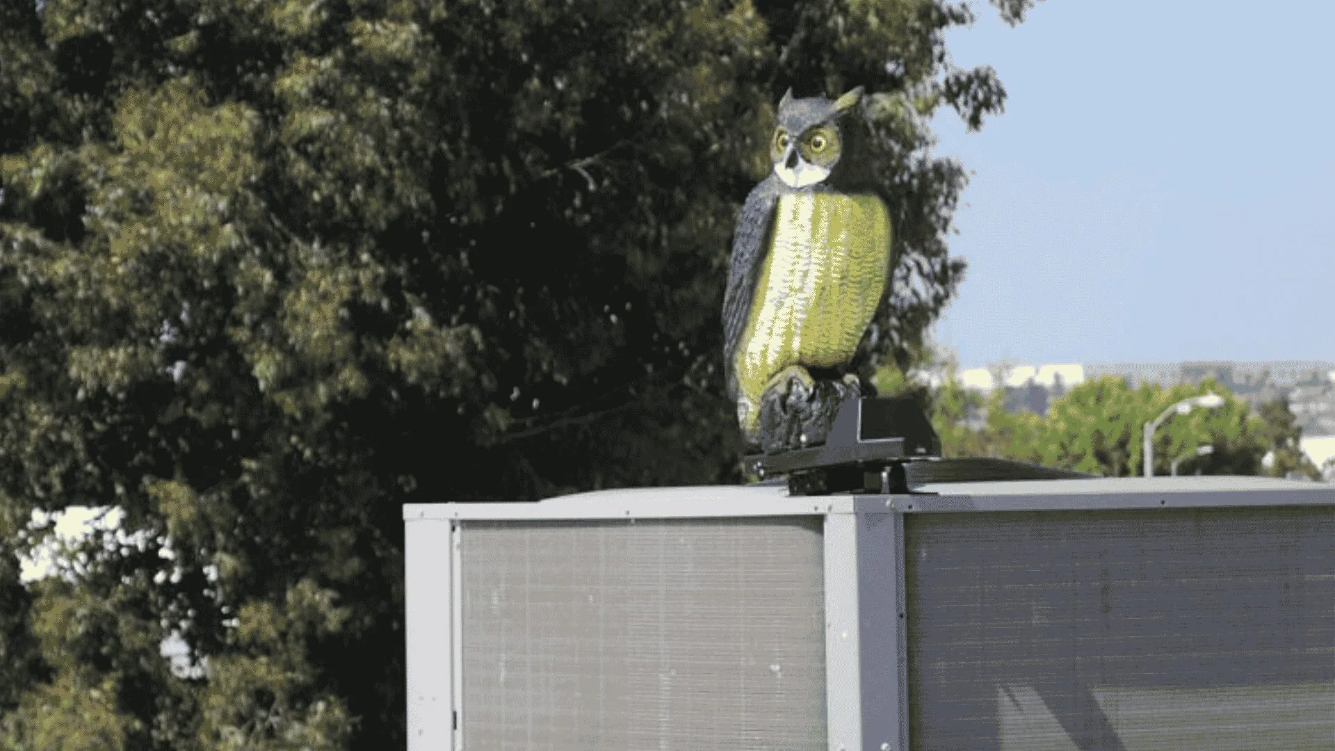 Life-size owl statue perched on the edge of a rooftop HVAC enclosure outdoors, with trees in the background.