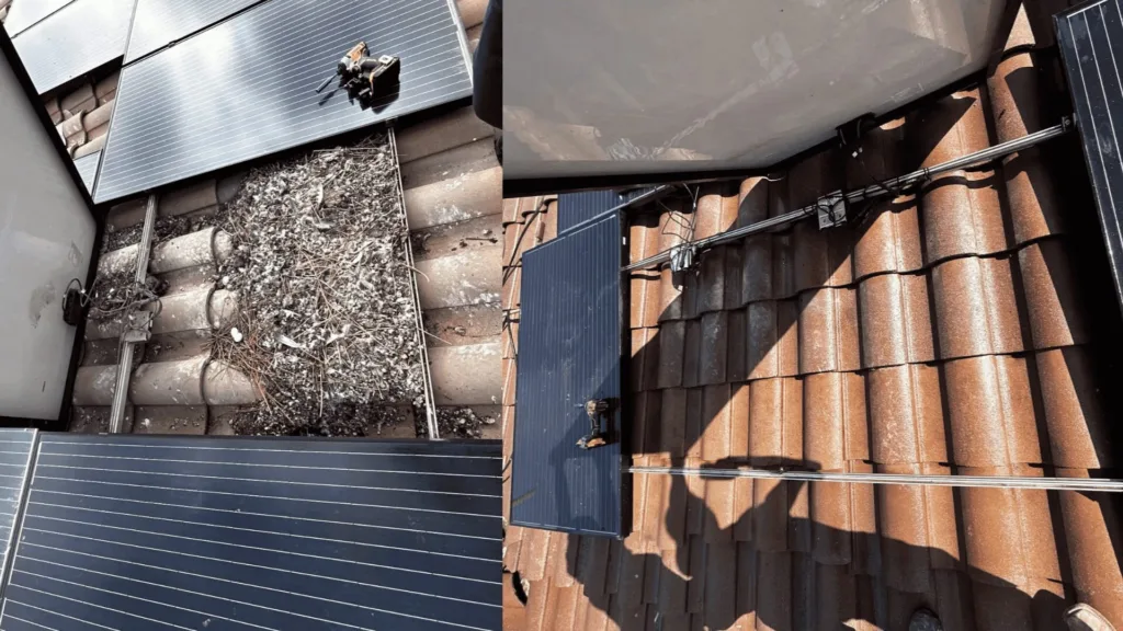 Split rooftop scene: left side shows a solar panel with a bird nest and debris between tiles; right side shows a solar panel mounted on red clay roof tiles with wiring.