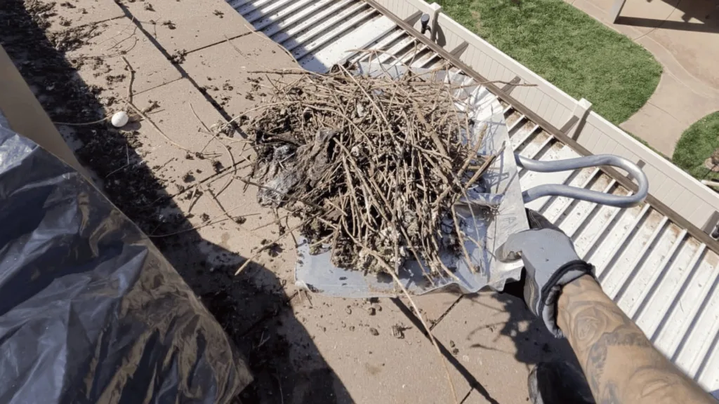 Overhead view of a worker on a metal roof with a large pile of sticks and nest debris.