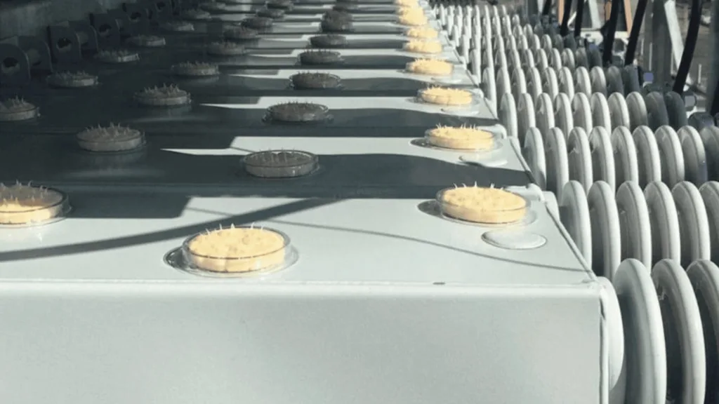 Row of circular access ports on top of a large electrical cabinet in a power facility.