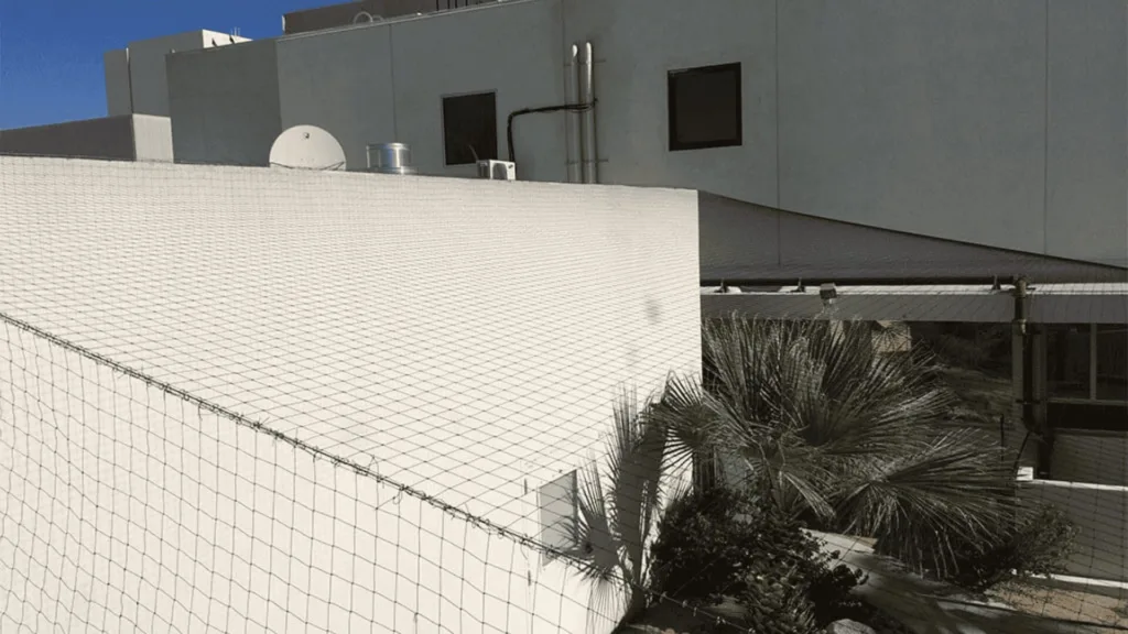 Side view of a modern gray building with two square windows, a small vent, and pipes along the wall, with a chain-link fence and palm fronds in the foreground under a blue sky.