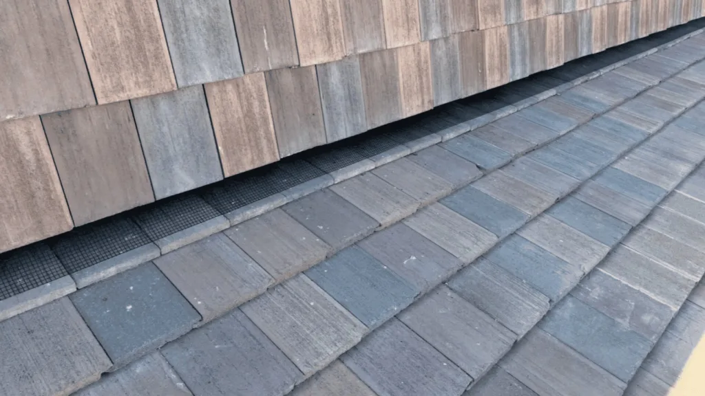 Slate roof tiles along a curved eave with a narrow vent gap showing under the overhang