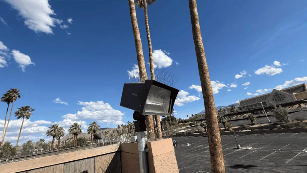 Large outdoor security floodlight mounted on a pole beside palm trees in a parking lot under a blue sky.