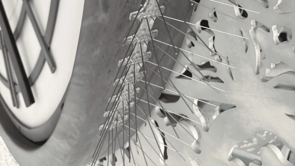 Close-up of a bicycle rear wheel showing spokes radiating from the hub and the sprocket gears in grayscale as a detailed component shot.