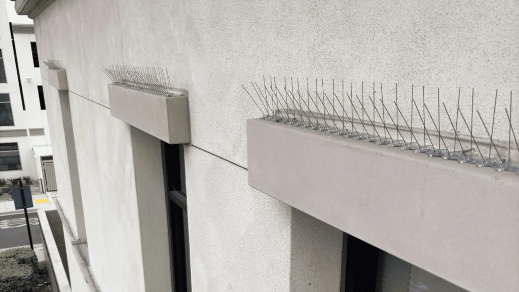 Razor-wire security barrier along the top edge of a beige concrete building ledge photographed from the side.