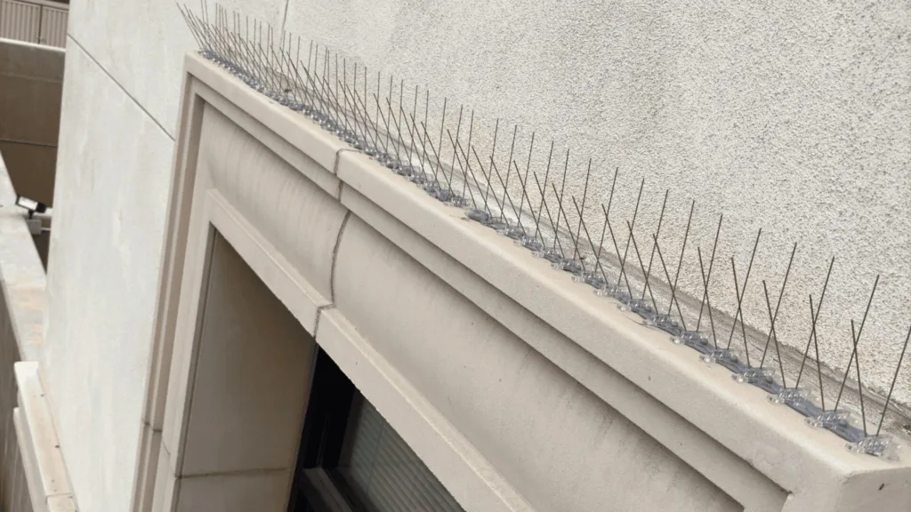 Close-up of metal anti-climb spikes along a concrete ledge above a window on a building exterior.