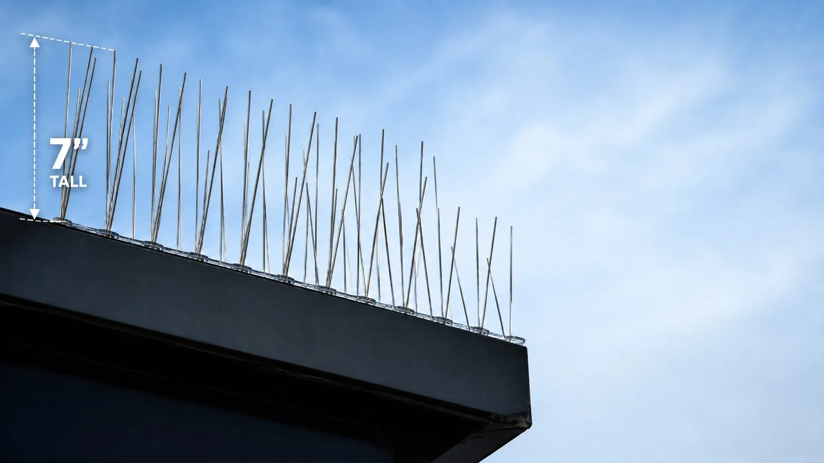 Roof edge with vertical rod spikes for security, with a white overlay showing 7" tall measurement.