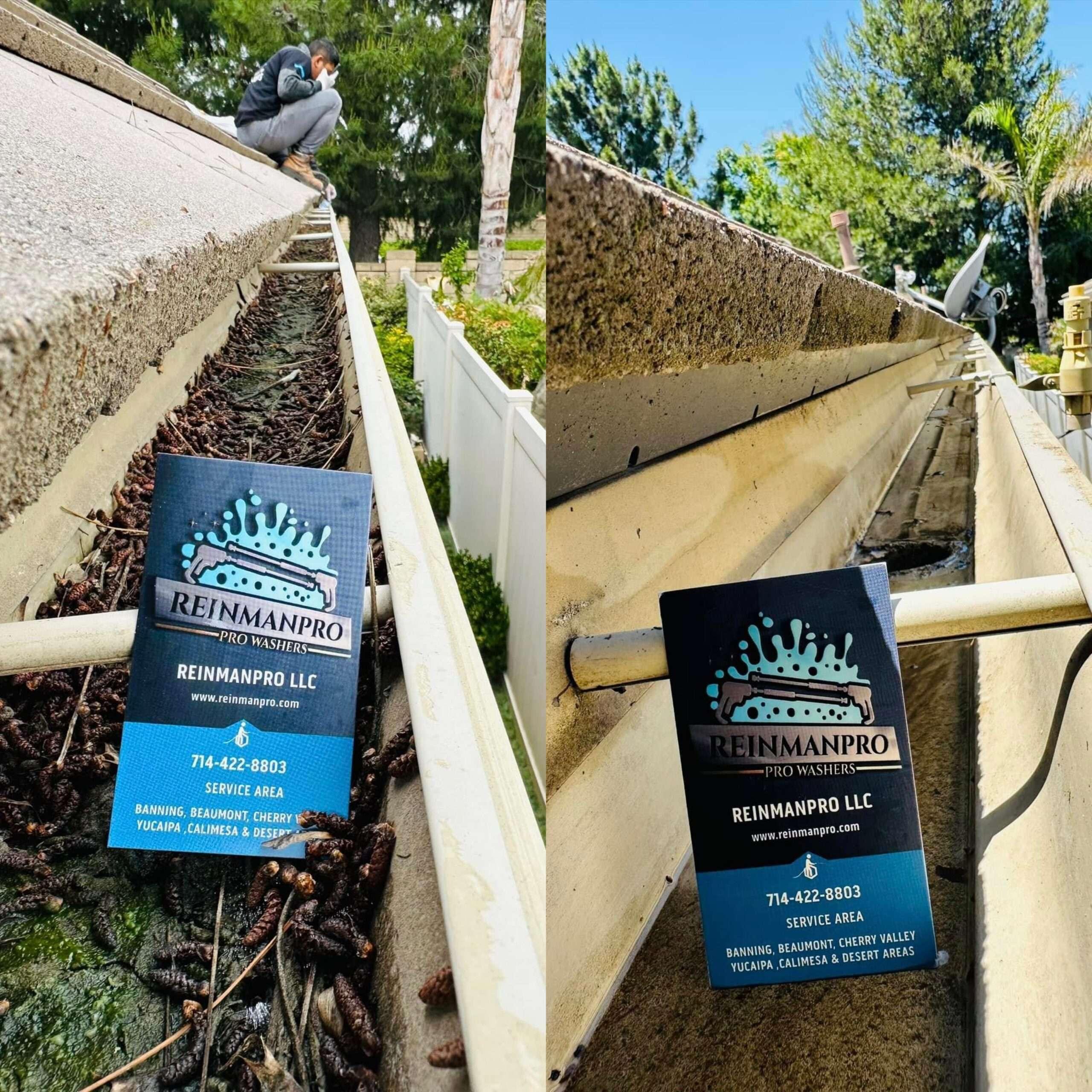 - REINMANPRO.COM gutter cleaning