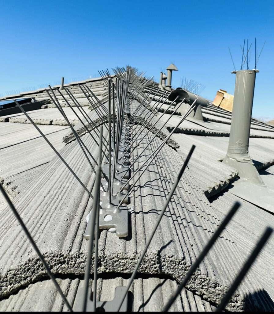 bird spikes with paint - REINMANPRO.COM bird spikes with paint